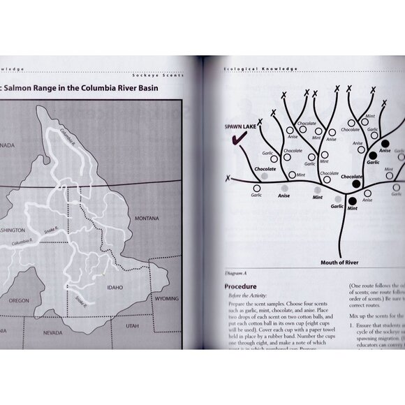 Project WILD Aquatic K–12 Curriculum Guide | Environmental Education 2001 - Picture 7 of 8
